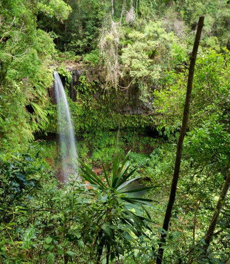 Biodiversity Conservation