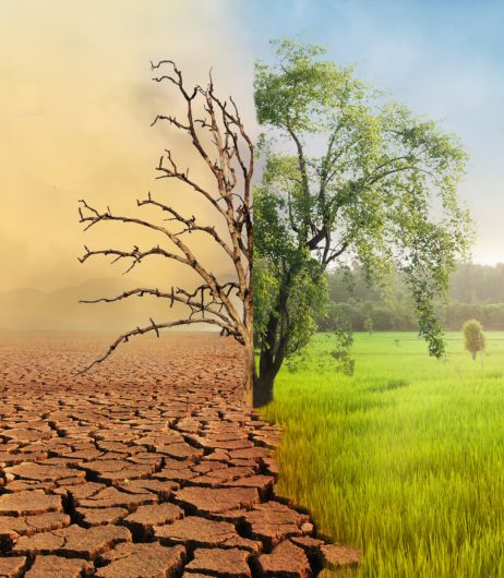 Climate Change Adaptation and Mitigation