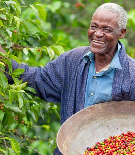 Fair Trade and Ethical Sourcing