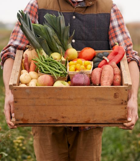 Food Security and Nutrition