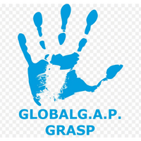 GRASP
