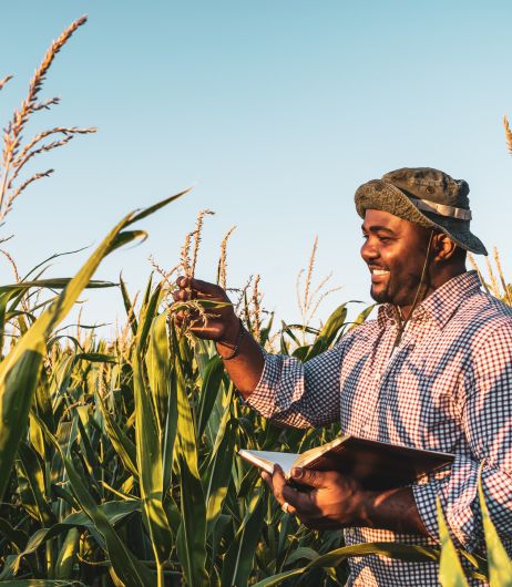 Sustainable Agriculture and Agroecology